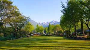 Best Lawn Fertilizer