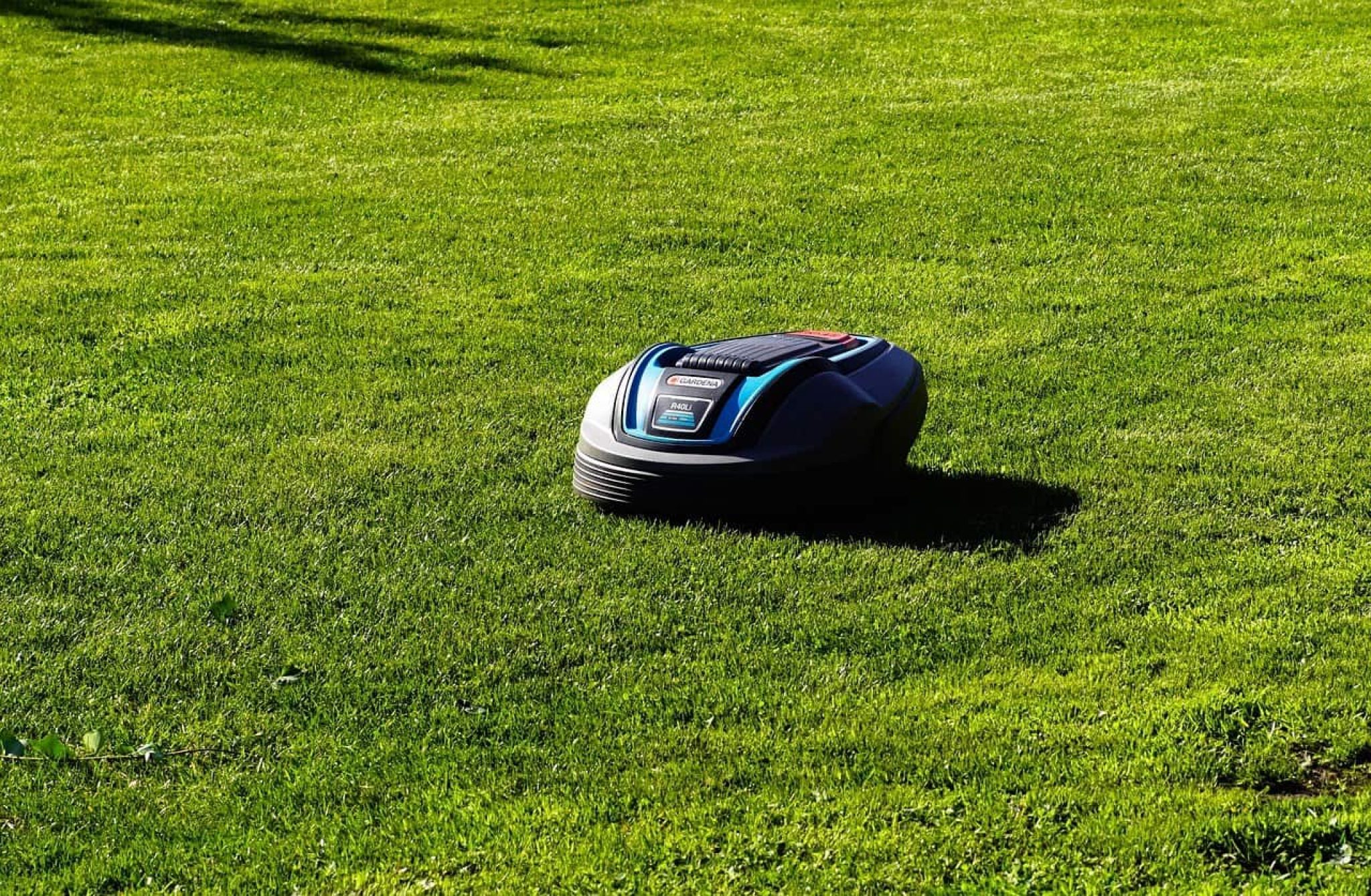 Top 10 Lawn Care Products Explained everything in Detail