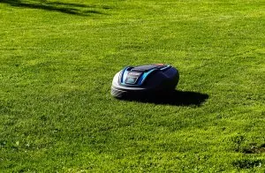 Lawn Products