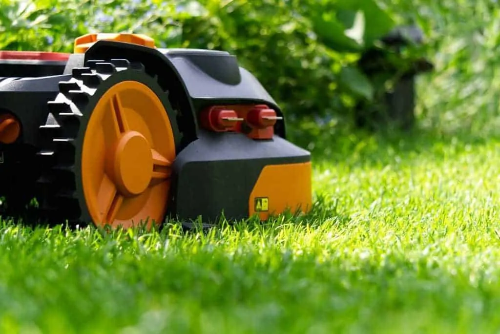 Lawn Care Product