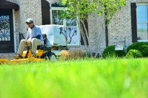 Lawn care services