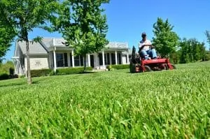 Lawn care services