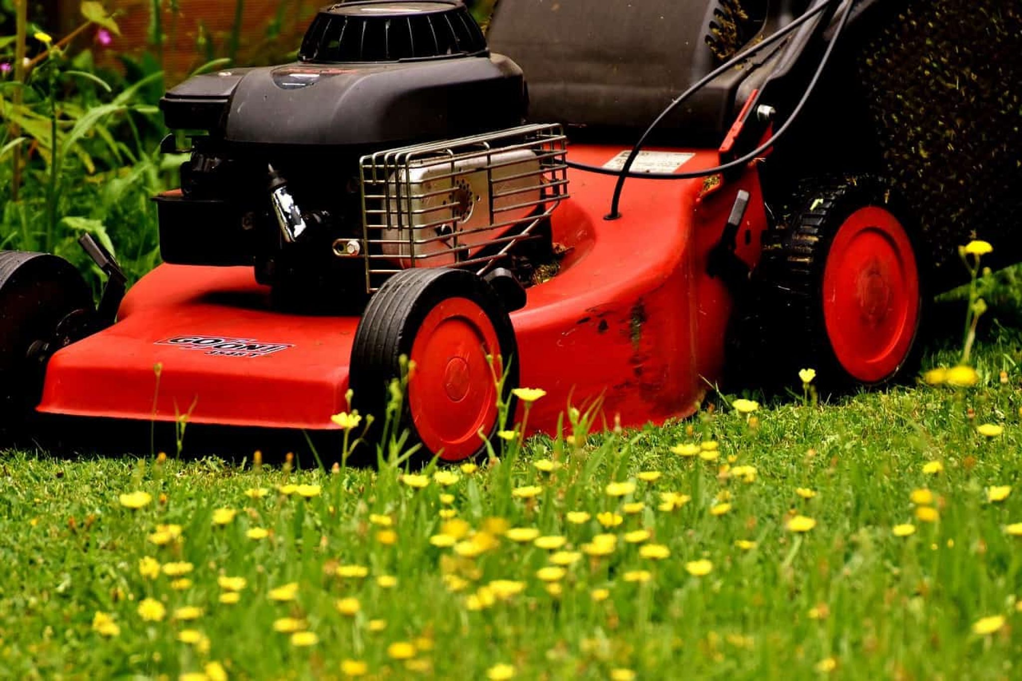 How Is Lawn Mowing Service Helpful For Lawn 2022 Guide WebSta ME