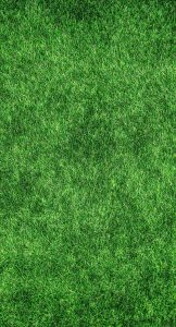 taking care of your lawn