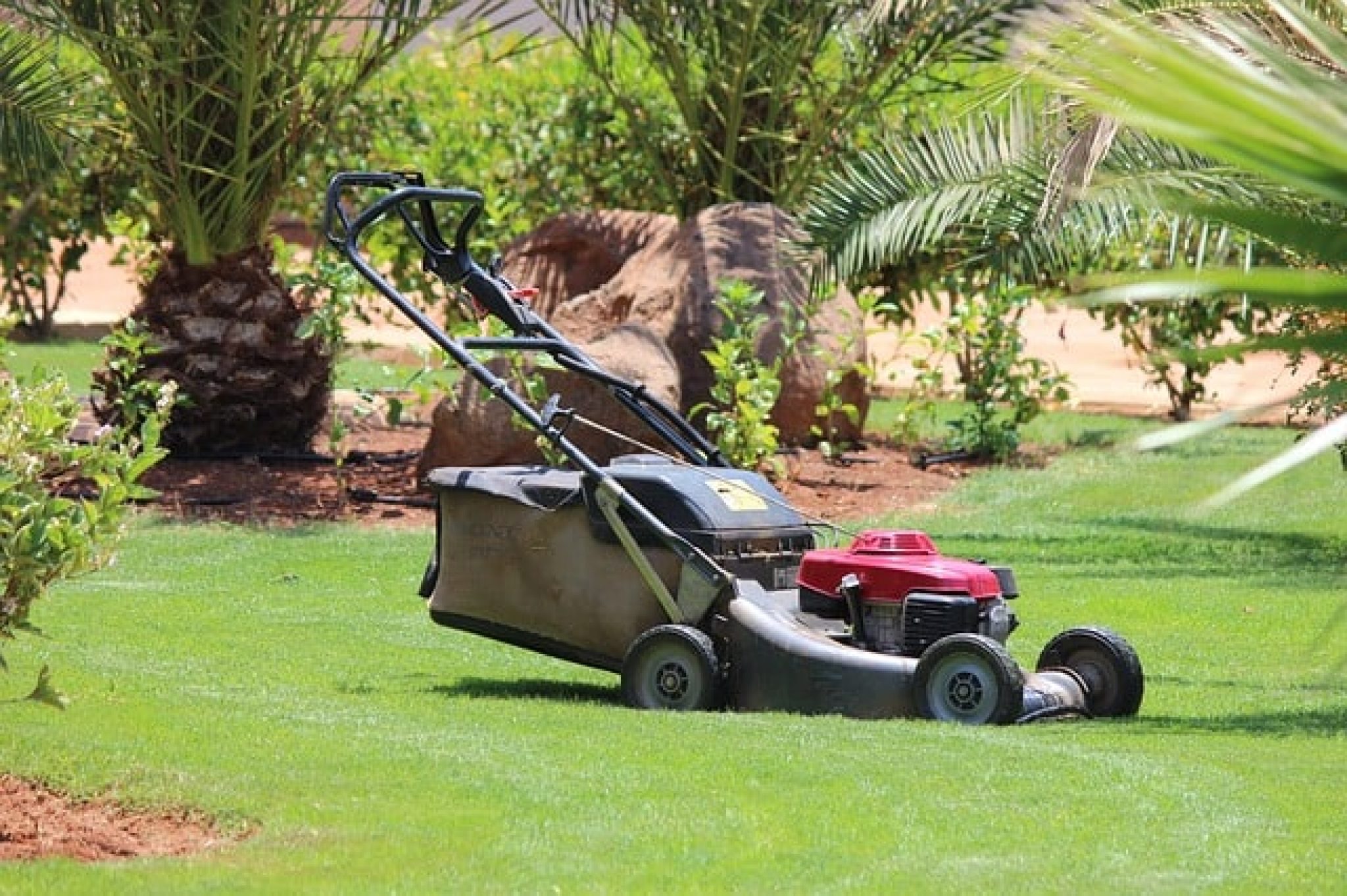 Using Fuel Lawn Mowers in 2024 Pros and Cons WebSta.ME