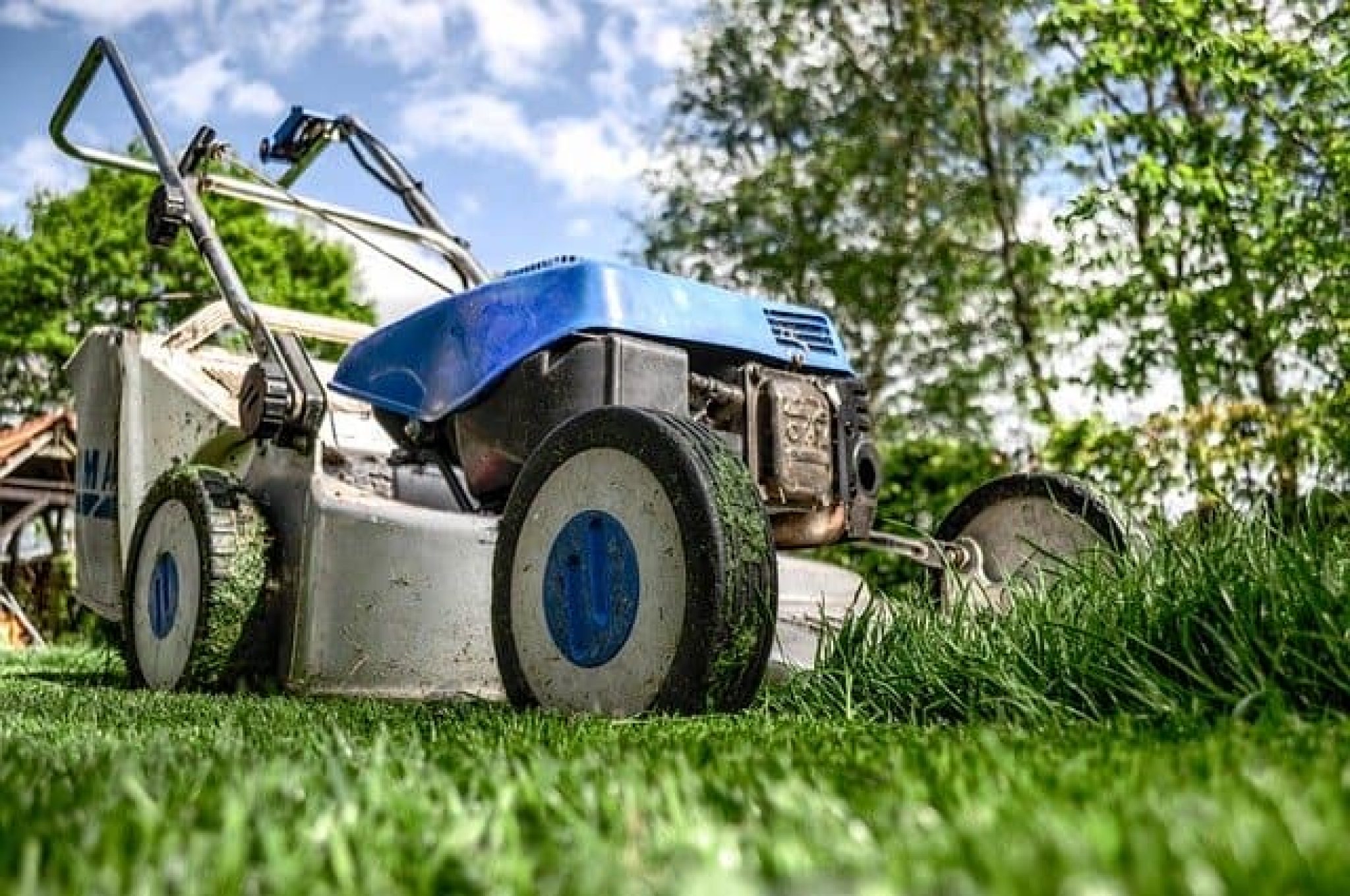 Using Fuel Lawn Mowers in 2024 Pros and Cons Sta.ME