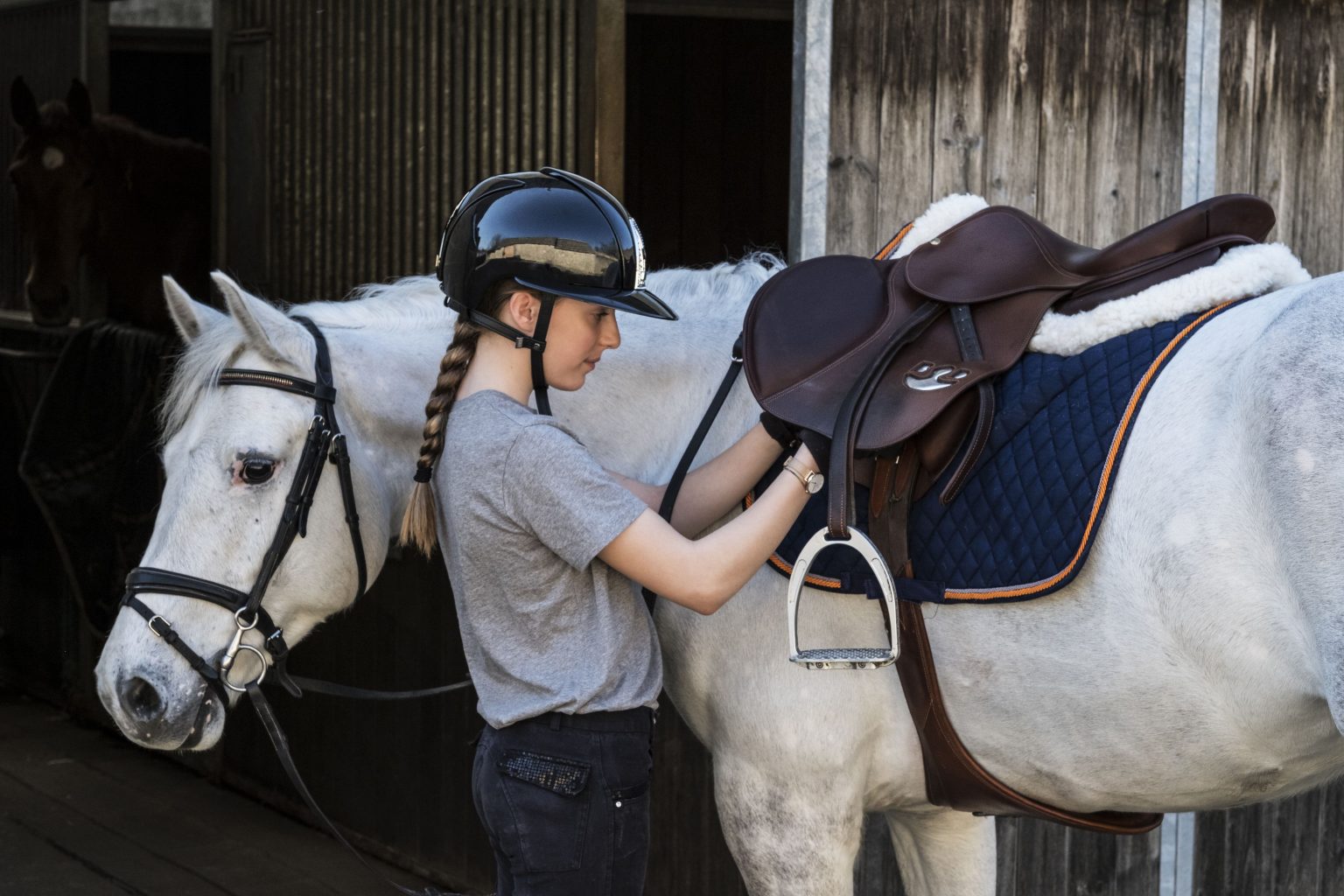 5 Basic Equipment You Need for Your First Horse 2024 Guide Sta.ME