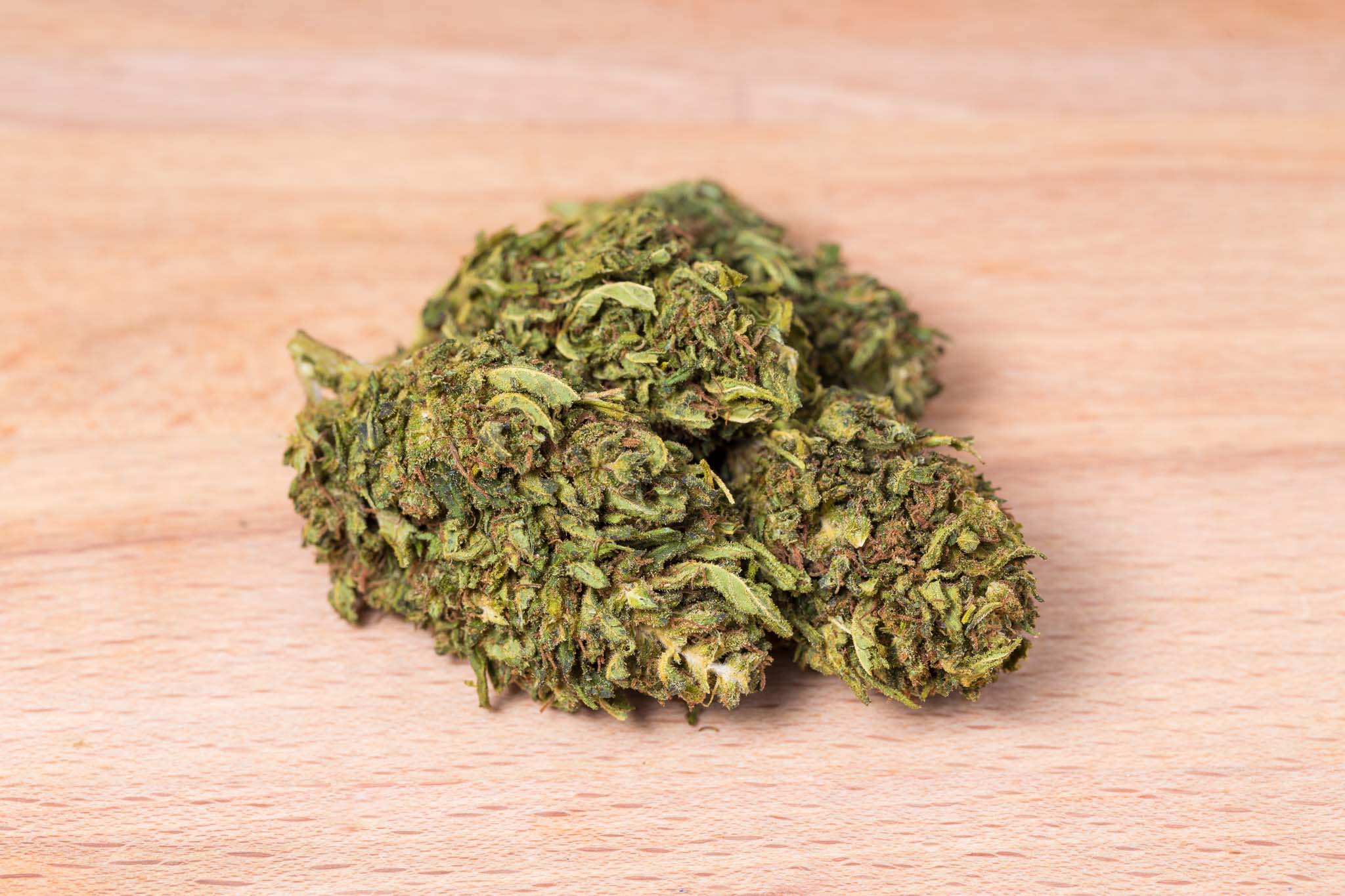 What Are The Highest CBD Strains of Cannabis - 2021 Guide - WebSta.ME