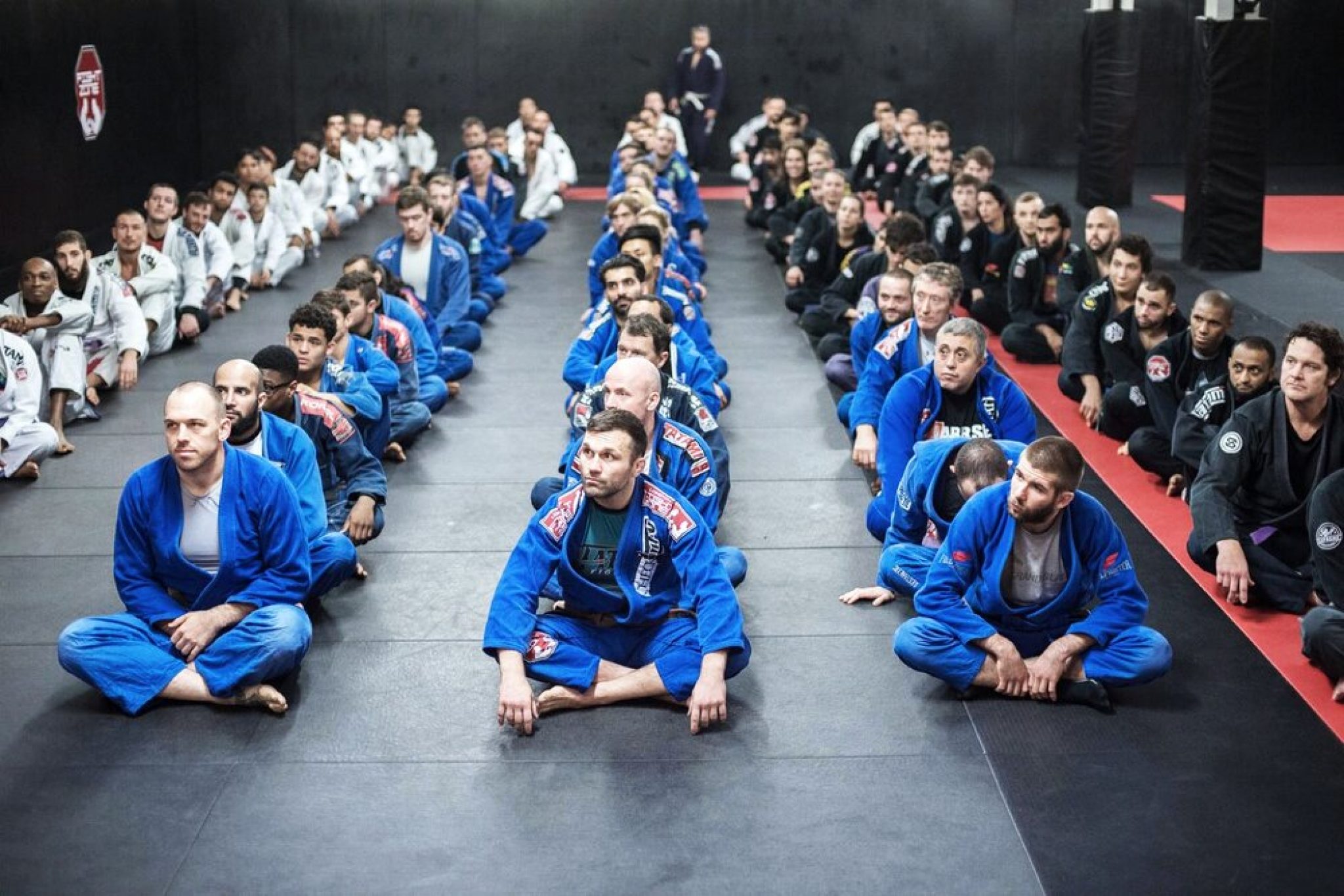 Best Brazilian JiuJitsu Gis 2023 WebSta.ME