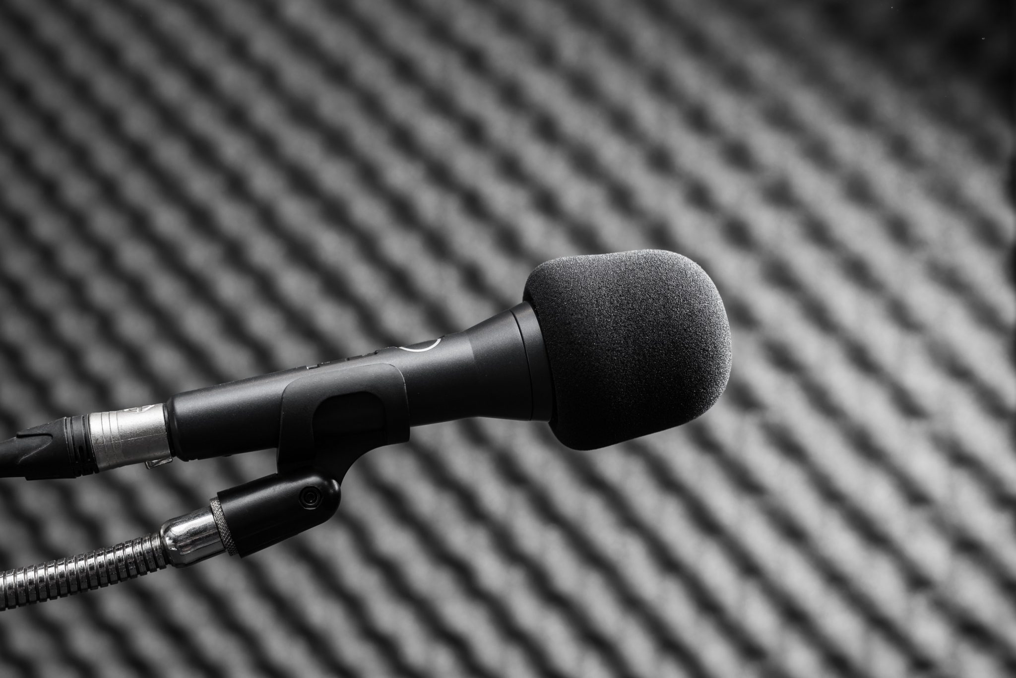 5 Best VoiceOver Microphone Under 100 in 2024 WebSta.ME