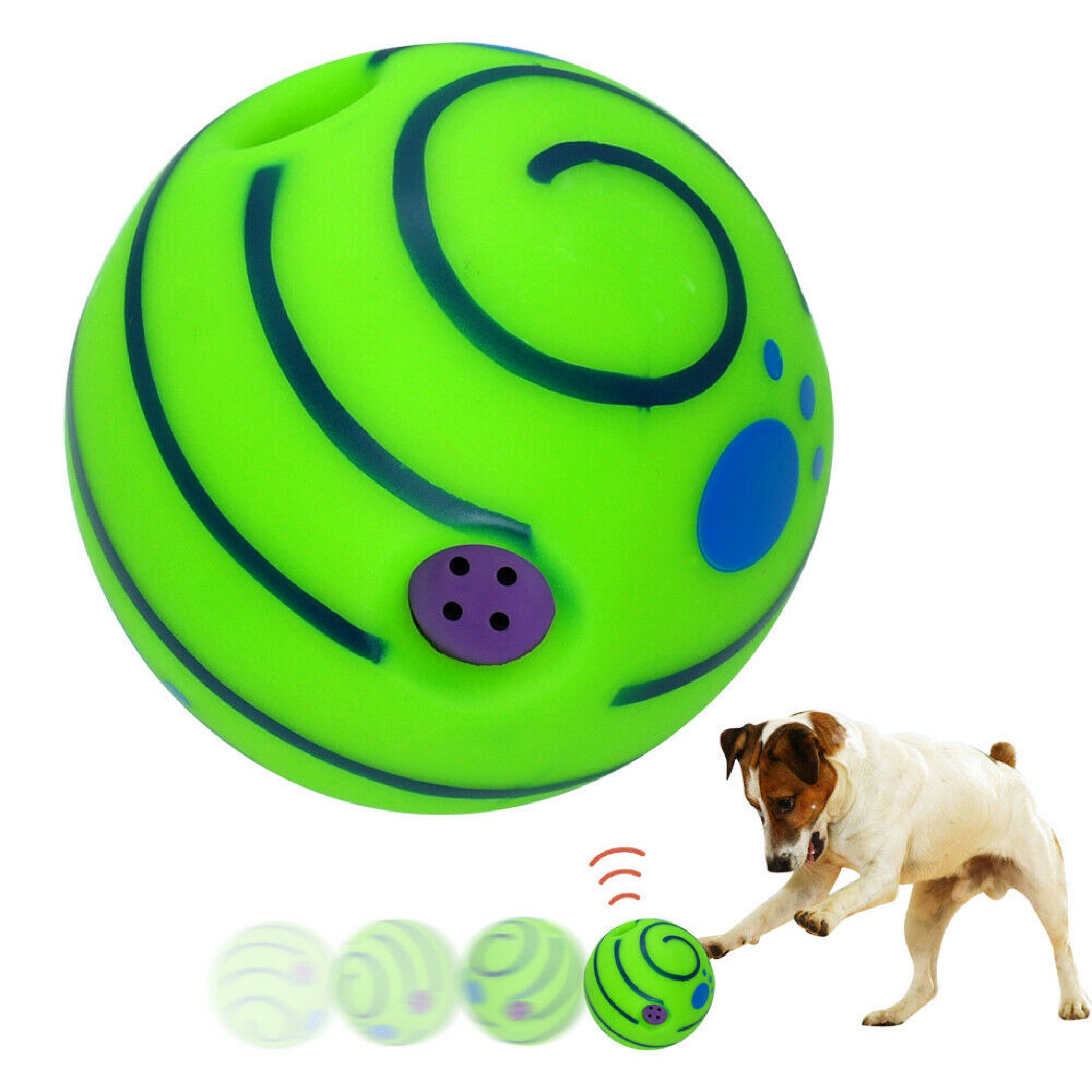 5 Best Toys for Blind Dogs in 2024 WebSta.ME