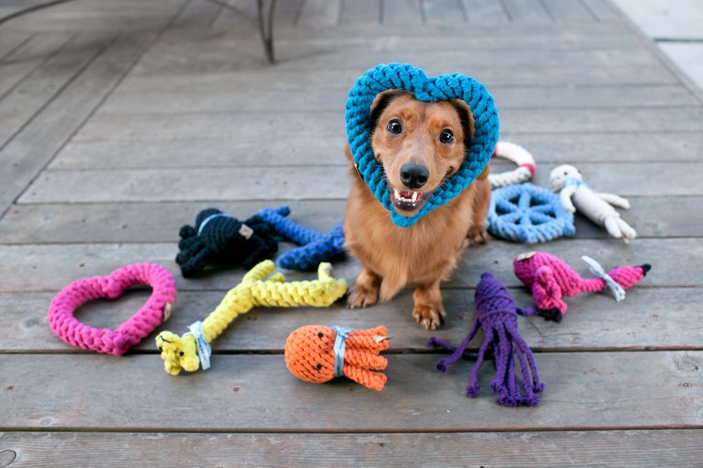 5 Best Toys for Blind Dogs in 2024 Sta.ME