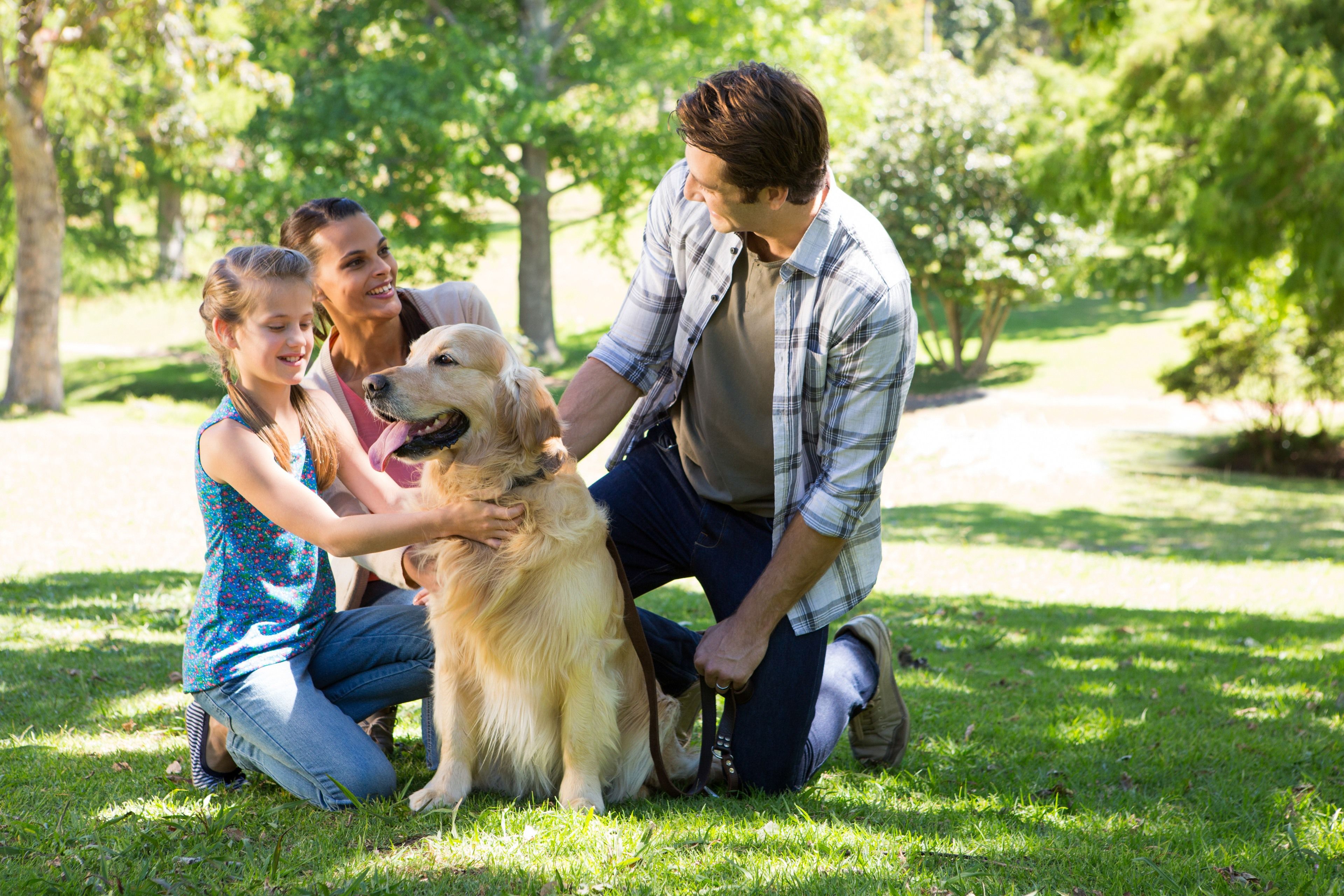 8 Tips For Choosing The Best Dog Breed For Your Family A 2023 Guide
