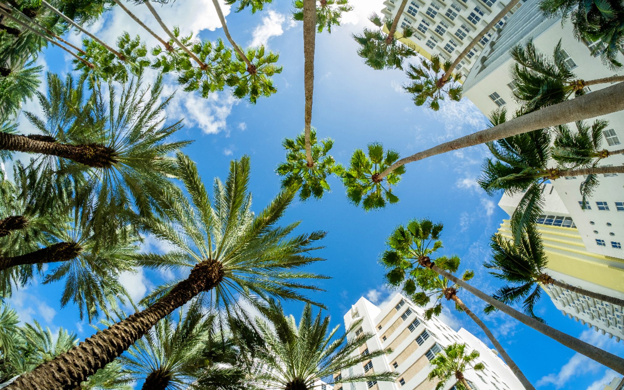 The Ultimate Guide To Your Miami Trip 2024 WebSta.ME