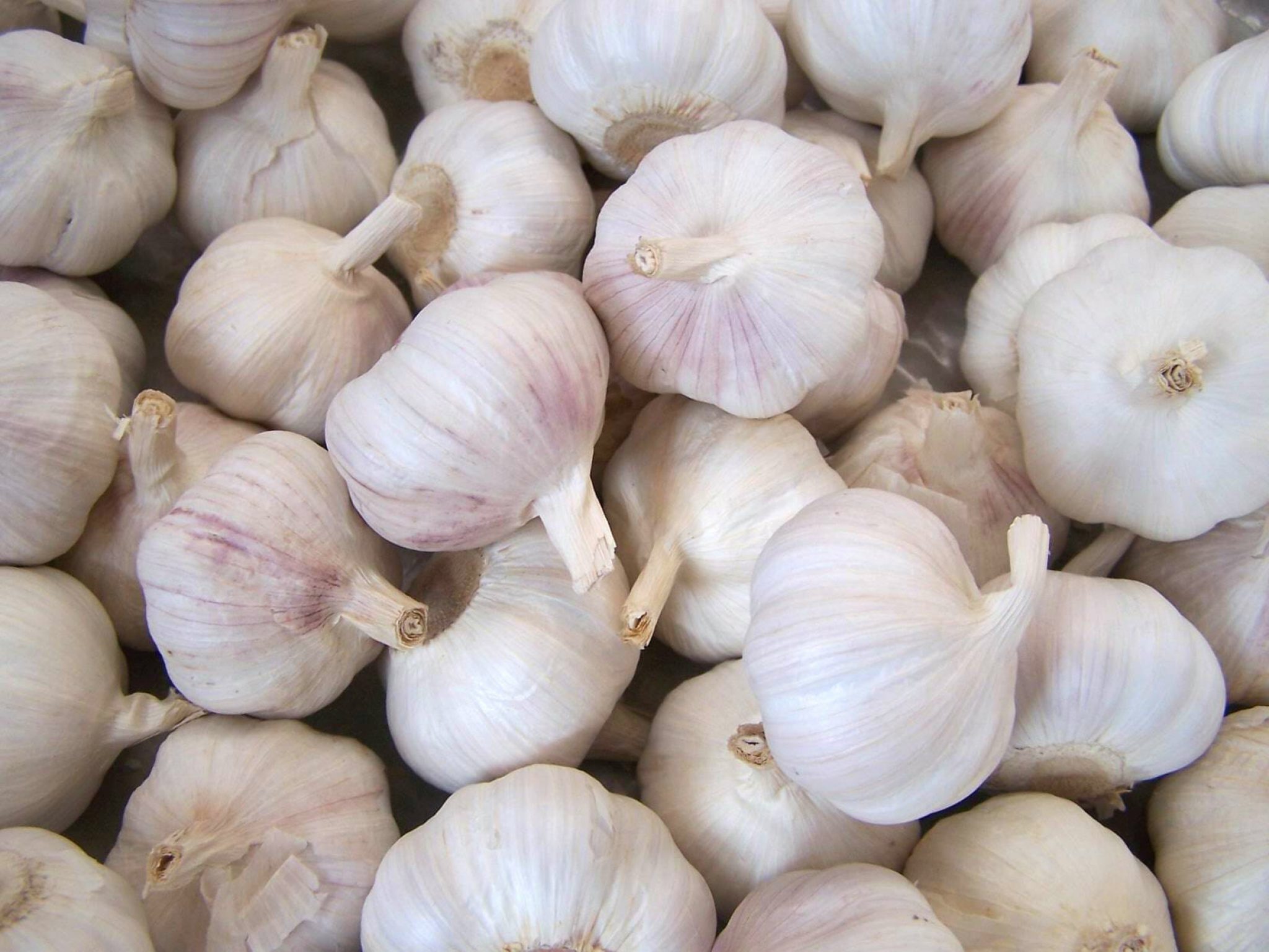 Can Еating Raw Garlic Be Harmful? Sta.ME