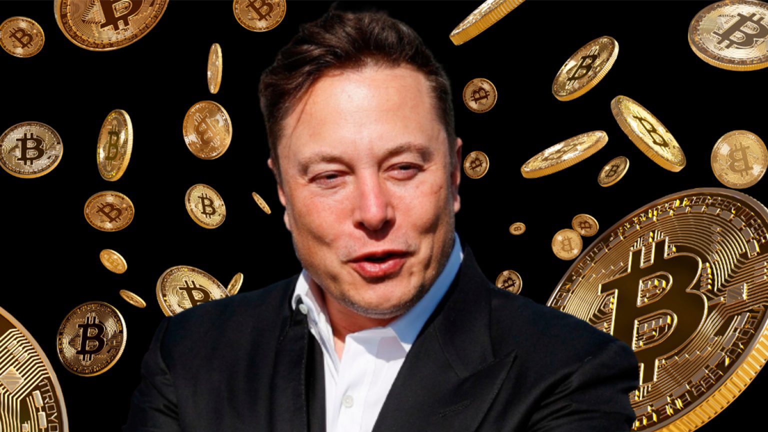 Is Elon Musk The Bitcoin’s Biggest Influencer 2024 Guide Sta.ME