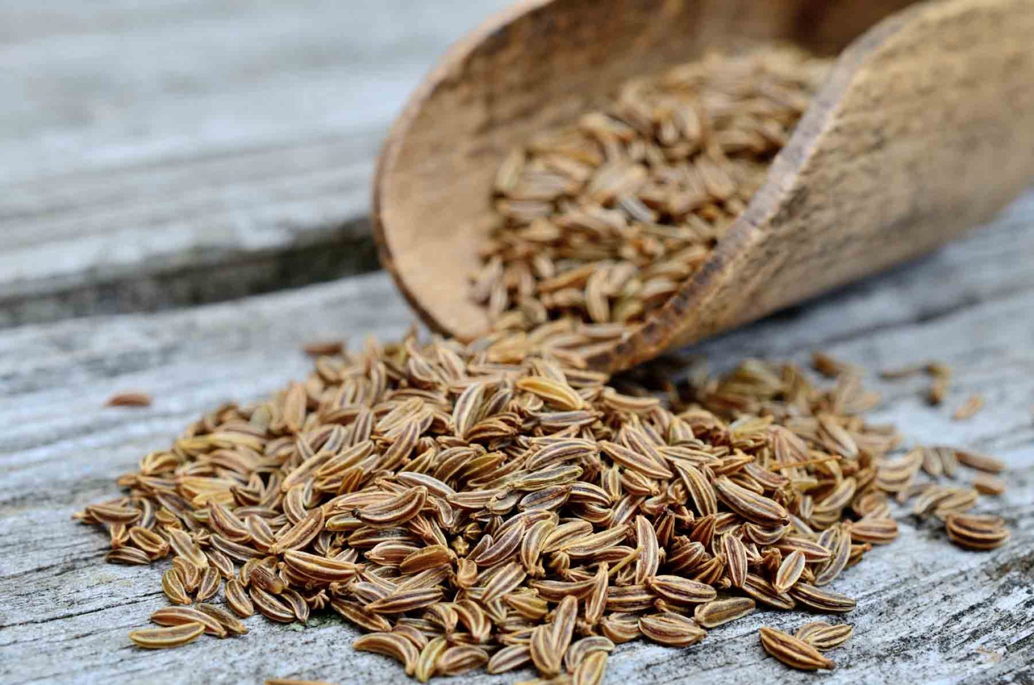 The Difference between Anise and Cumin and What You Need to Know