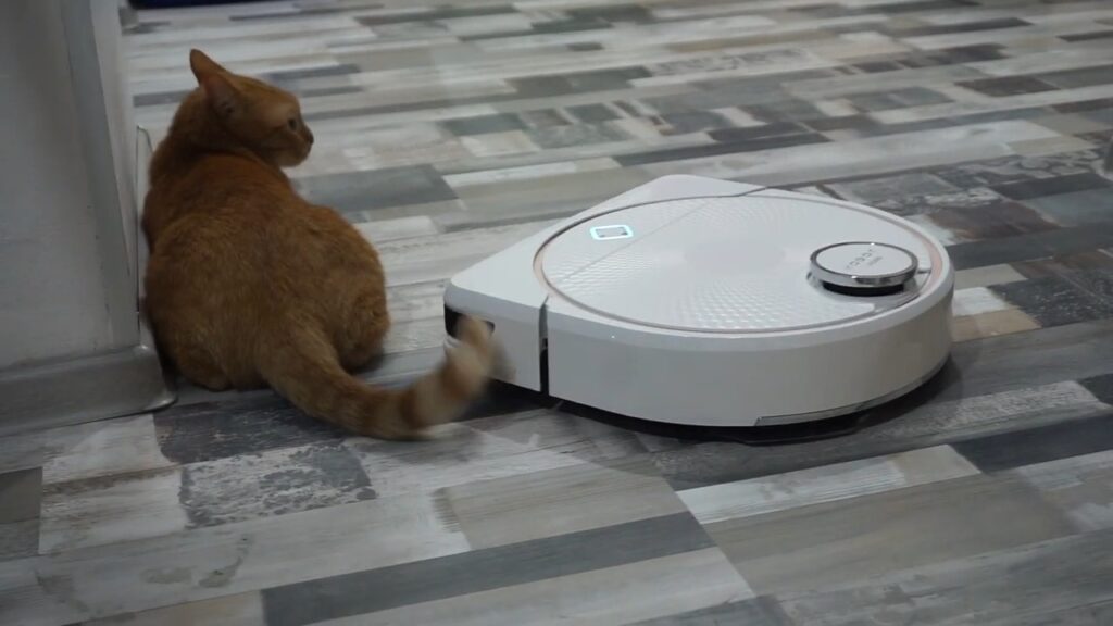 using your robot vacuum