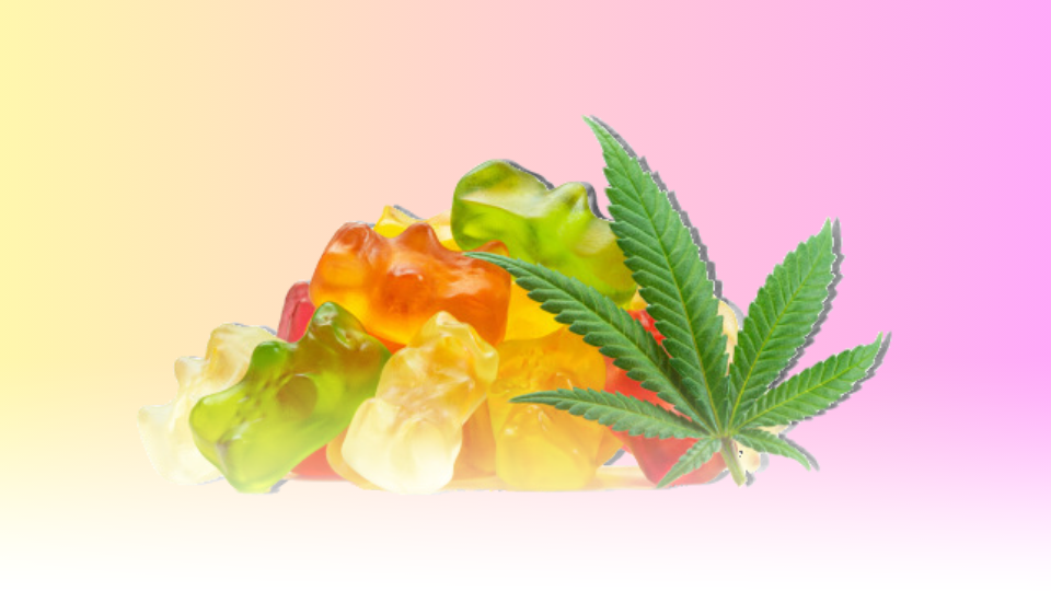 gummies and weed on cover