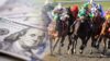 horse racing bet