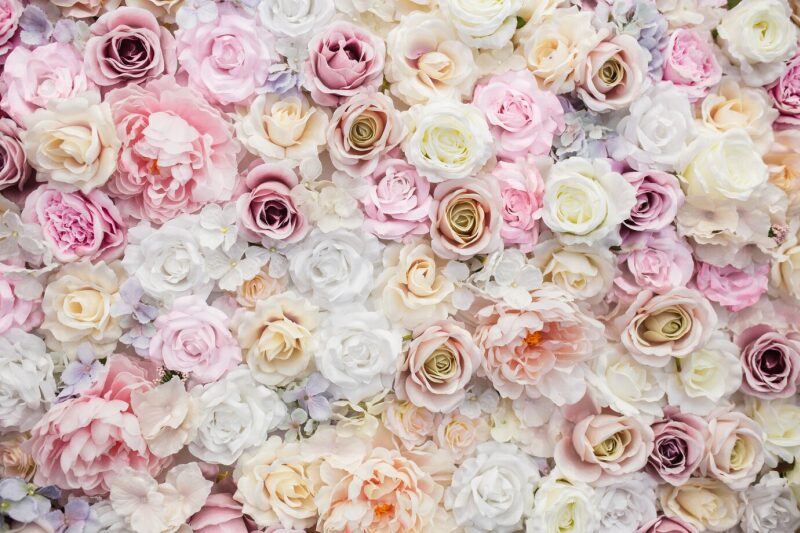 roses background