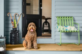 The Optimal Coating for a Home with Pets - Enhancing Durability and Style