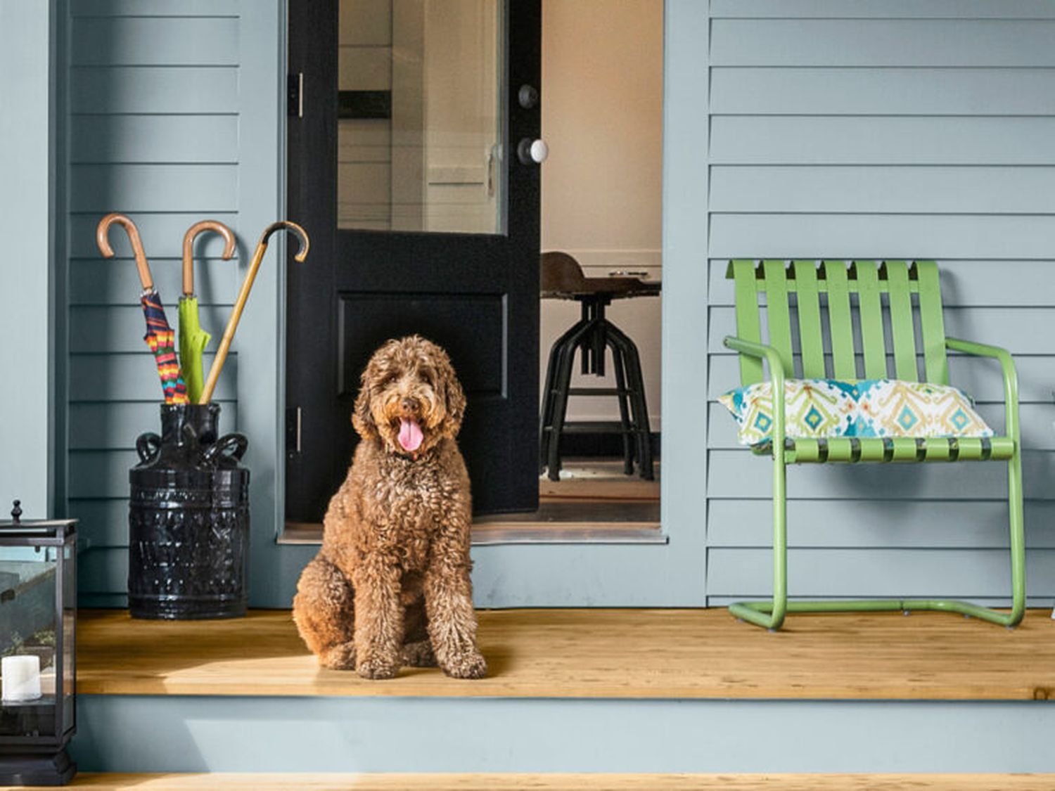The Optimal Coating for a Home with Pets - Enhancing Durability and Style
