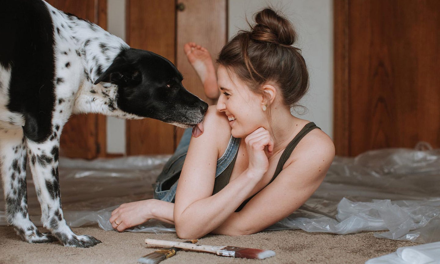 Understanding Pet-Friendly Coatings