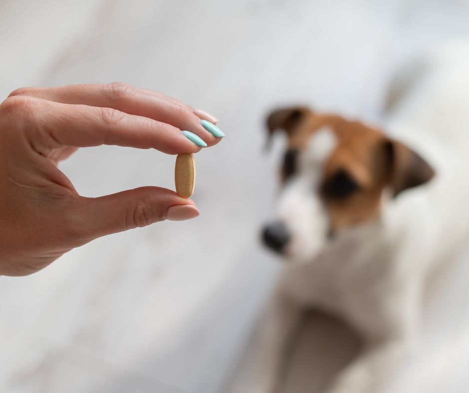 cbd topicals for dogs