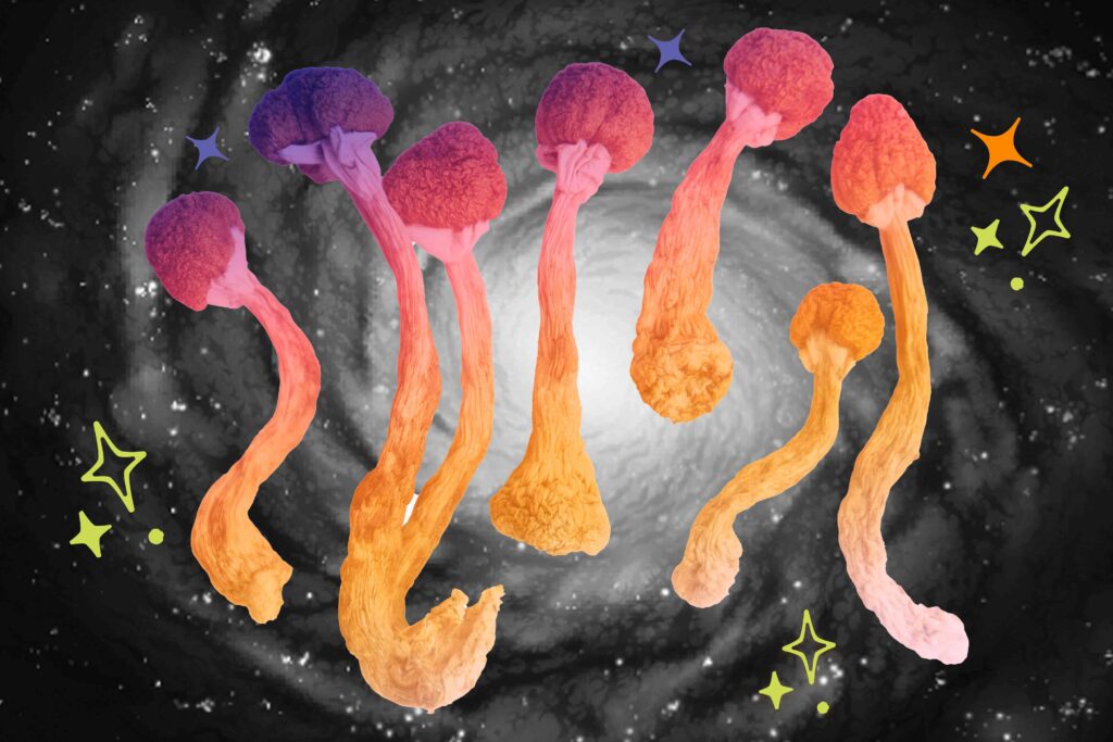 Pre-Historic Development of Magic Mushrooms