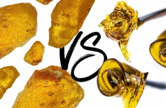 Shatter vs. Resin ─ Which Is Better for Seasoned Users?