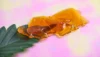 How to Determine the Right Dose of Shatter for Beginners ─ 2024 Guide