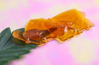 How to Determine the Right Dose of Shatter for Beginners ─ 2024 Guide