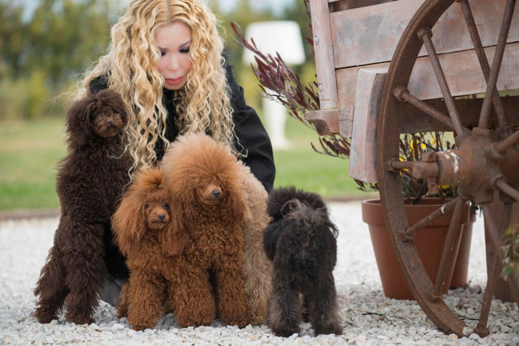 woman love poodle