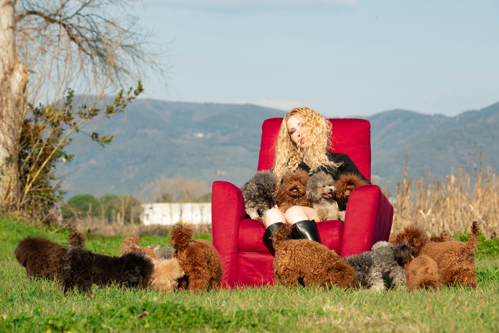 woman with poodle