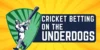 Secrets Revealed: Why Are Cricket’s Underdogs Worth Your Bet?