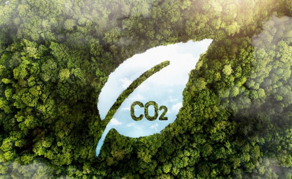Carbon Footprint