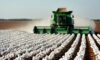 How Cotton Harvesting Technology is Transforming the Agricultural Industry