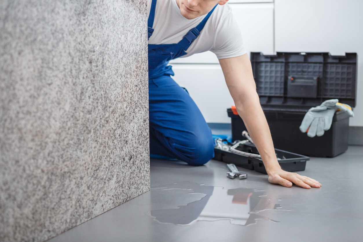 Detect Hidden Water Leaks