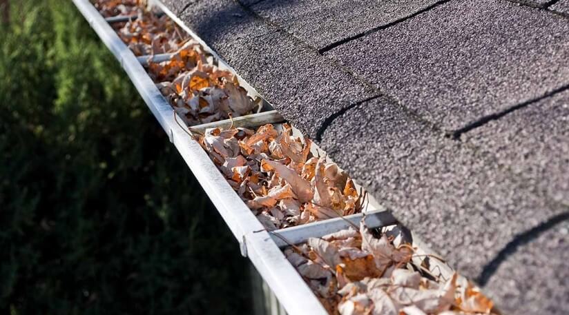 Autumn leaves clog the gutter