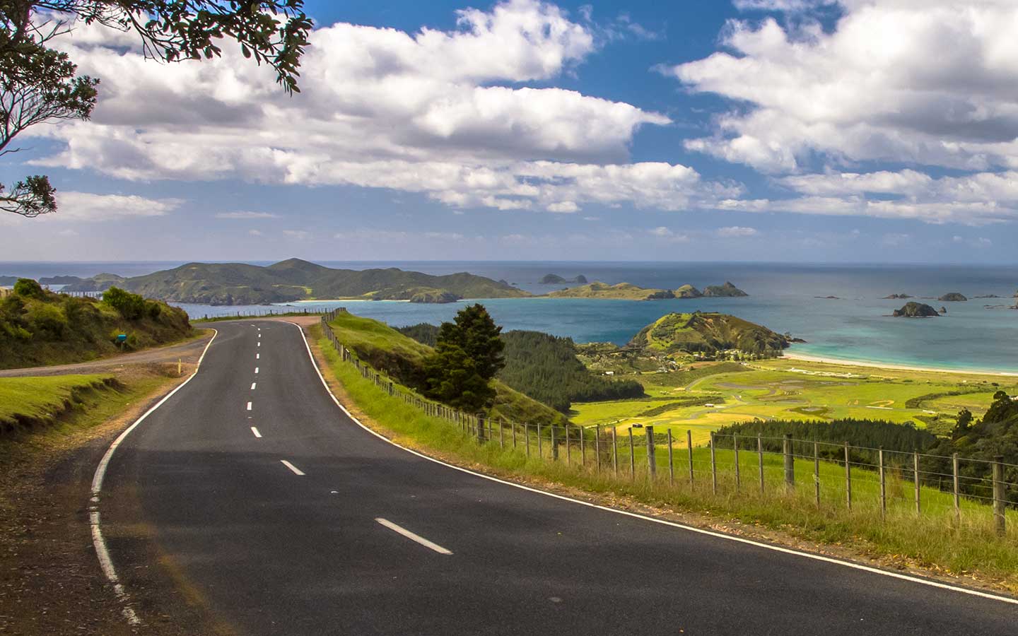 Northland Road Trip