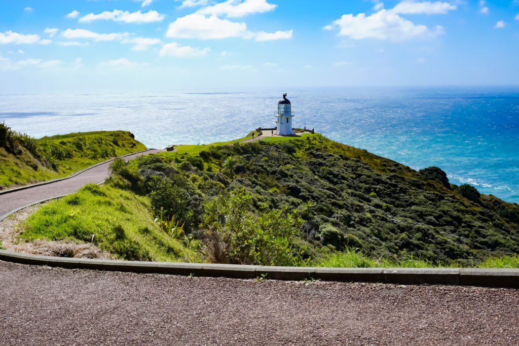 road trip in Northland