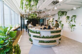 How Plants and Greenery Improve Office Environments
