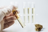 Why Is THC-O Distillate Getting So Popular In Japan
