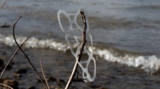 How Your Business Can Adapt to Canada’s Single-Use Plastic Ban (Expert Insights)