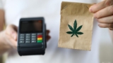 7 Top Tips for Choosing the Best Weed Delivery Service in Vancouver