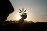 A High-Tech High: 8 Innovative Cannabis Products of 2024