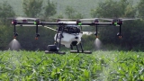 10 Best Agriculture Drones That Farmers Use in 2024
