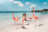 10 Blunders to Avoid on Your Trip to Aruba – 2024 Guide