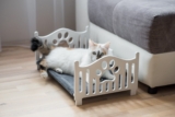 5 Tips For Choosing The Right Bed For Your Cat in 2024